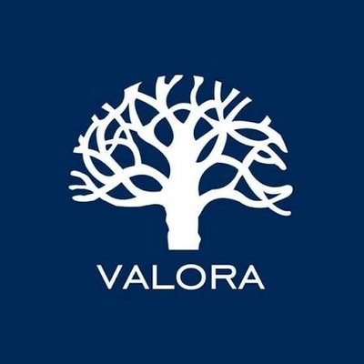 VALORA SOSTENIBILIDAD E INNOVACION